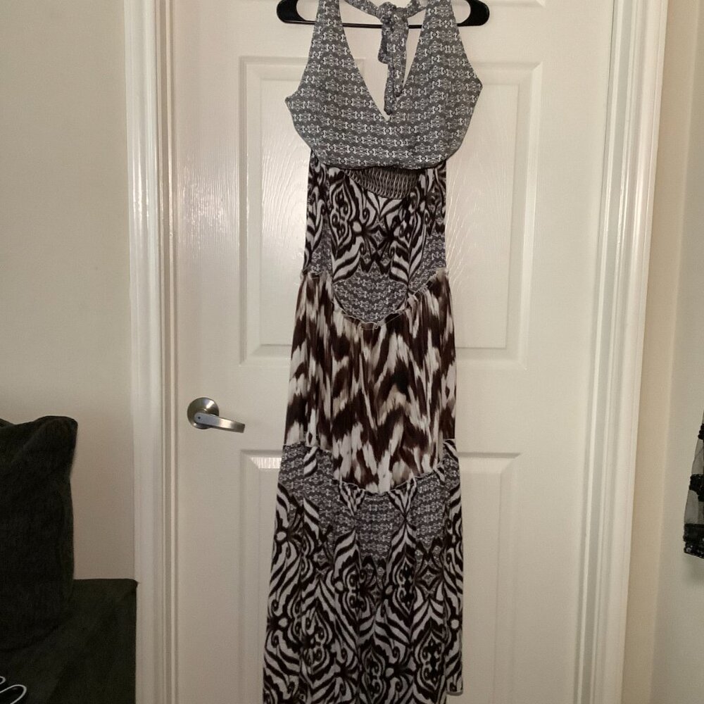 Eve Mendes zebra wild maxi dress - Picture 7 of 7